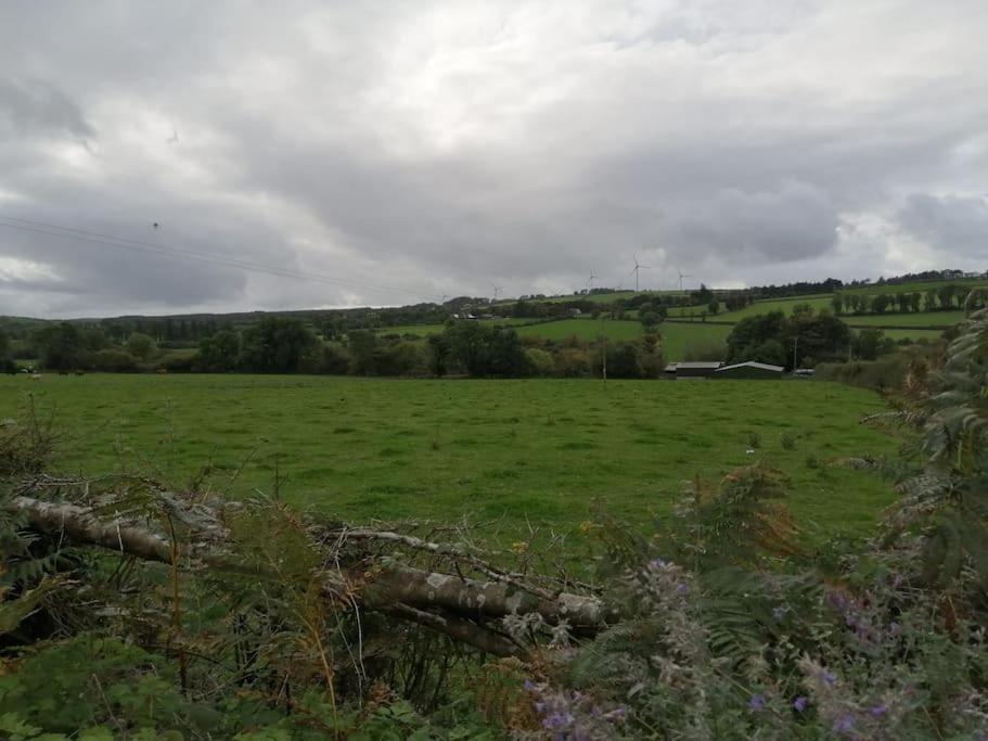 Caman Inn Kilkenny Exteriör bild